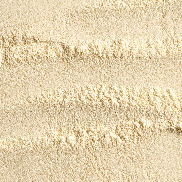 Bifidobacterium Lactis