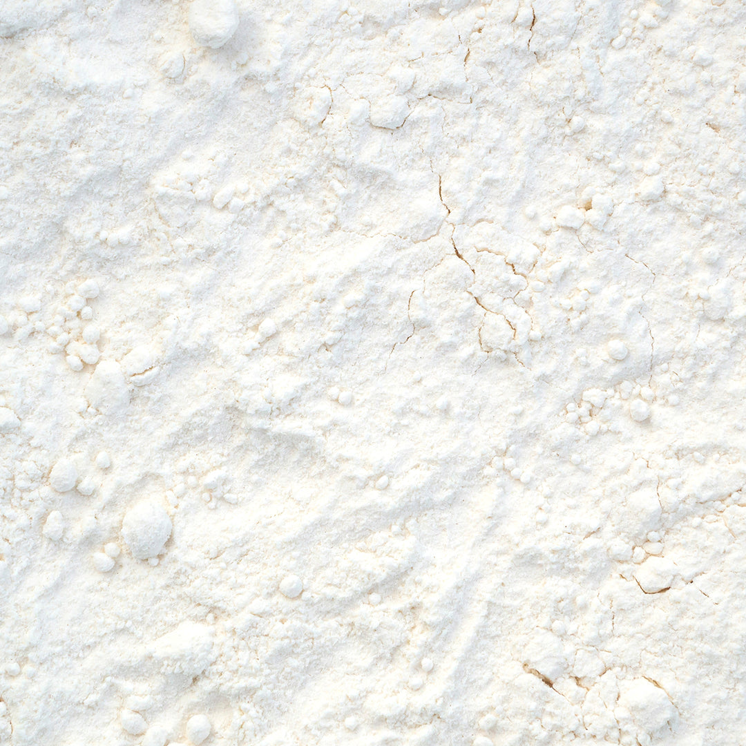 Bifidobacterium bifidum