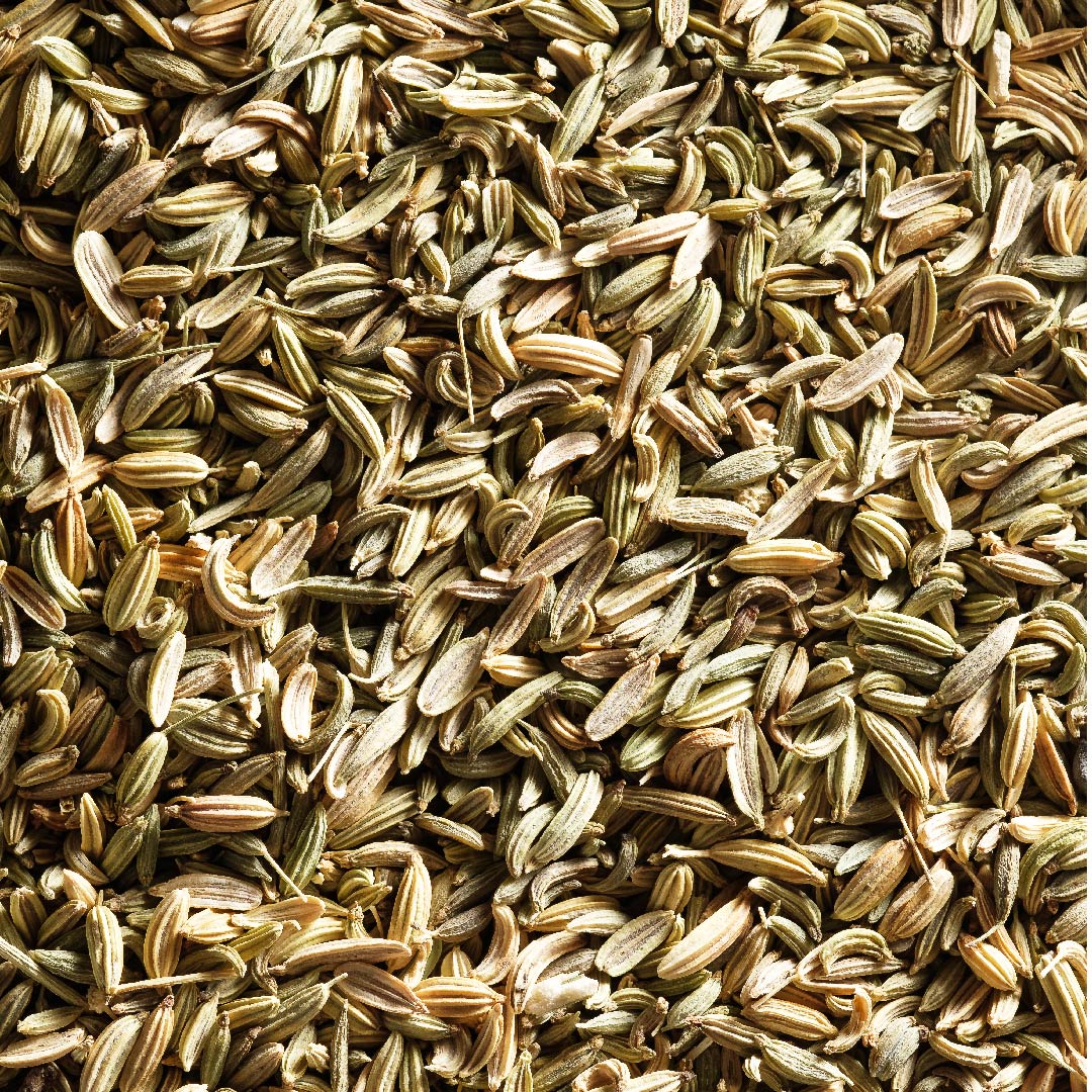 Fennel Seed Extract (Foeniculum Vulgare)