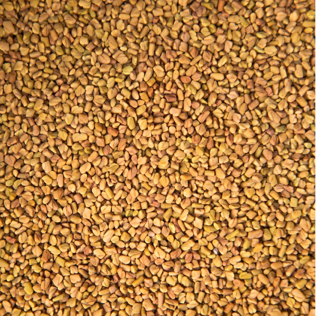 Fenugreek Seed Extract (Trigonella Foenum-Graecum)
