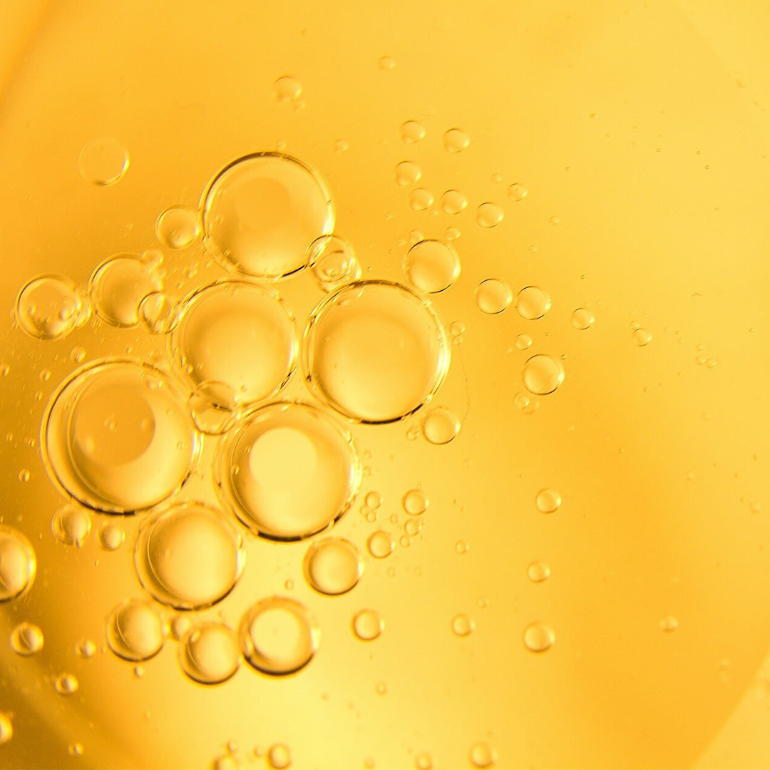 Grape Seed Extract (Vitis vinifera)