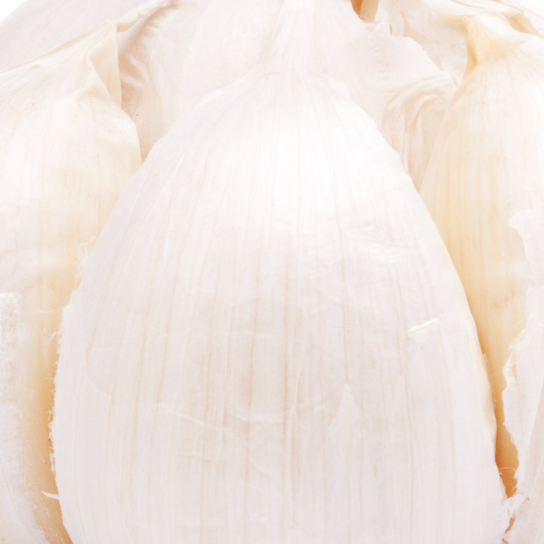 Inulin