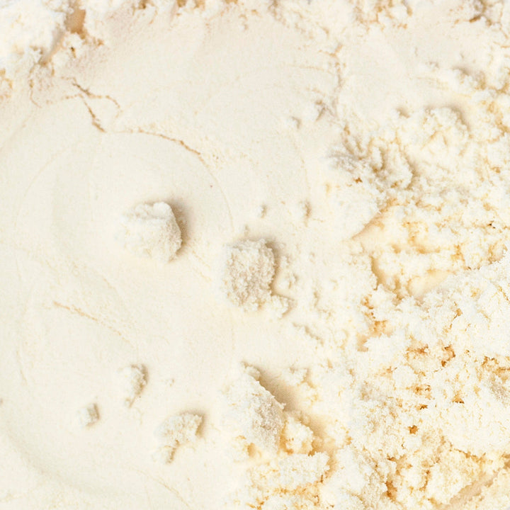 Lactobacillus Plantarum