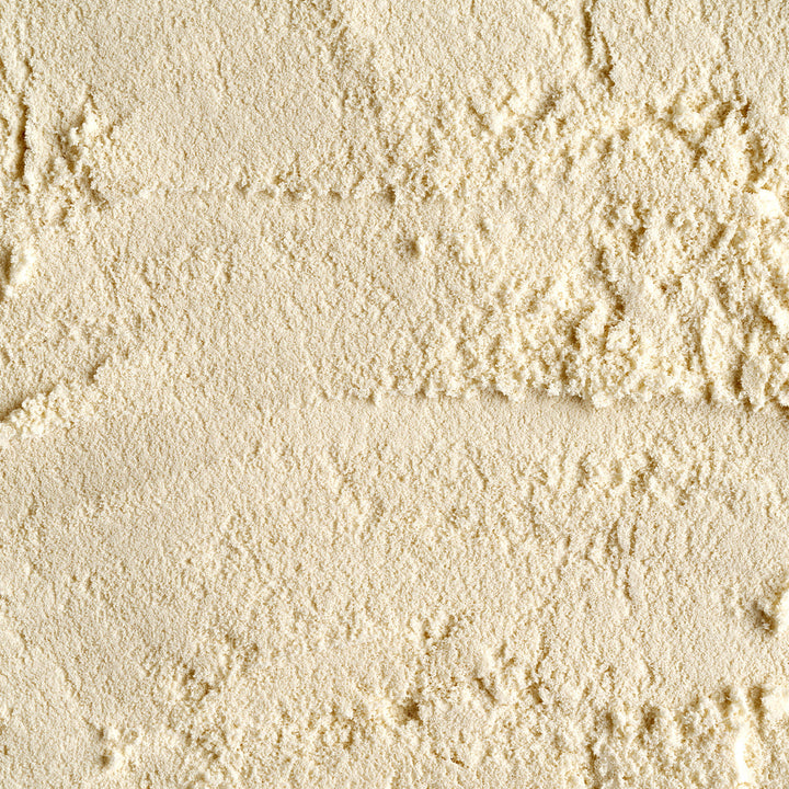 Lactobacillus Reuteri