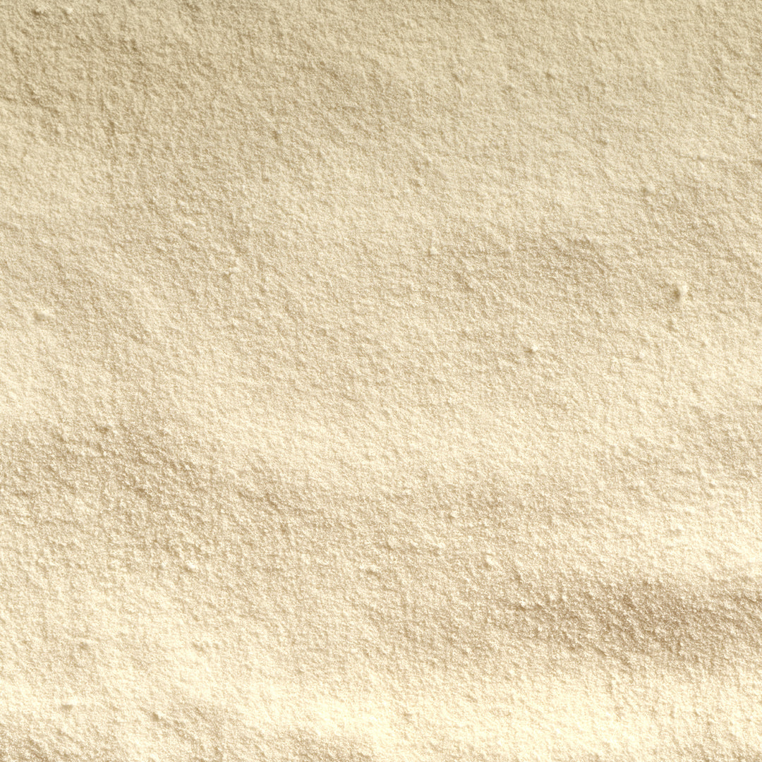 Lactobacillus Rhamnosus