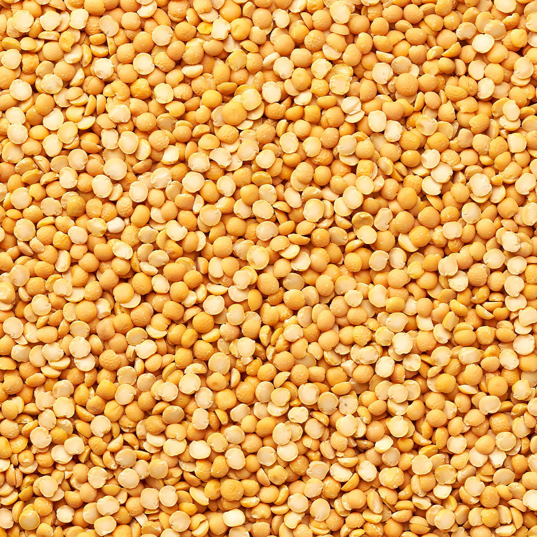 Pea Protein