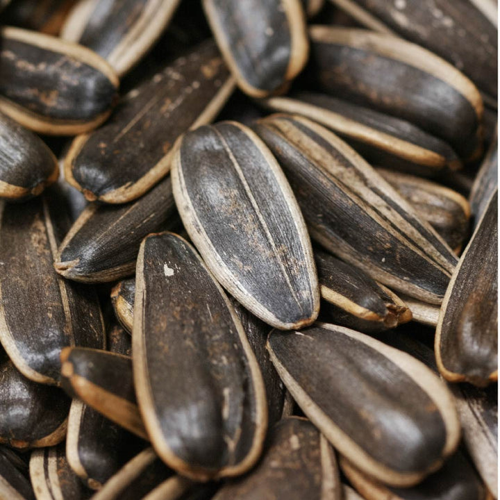 Vitamin E