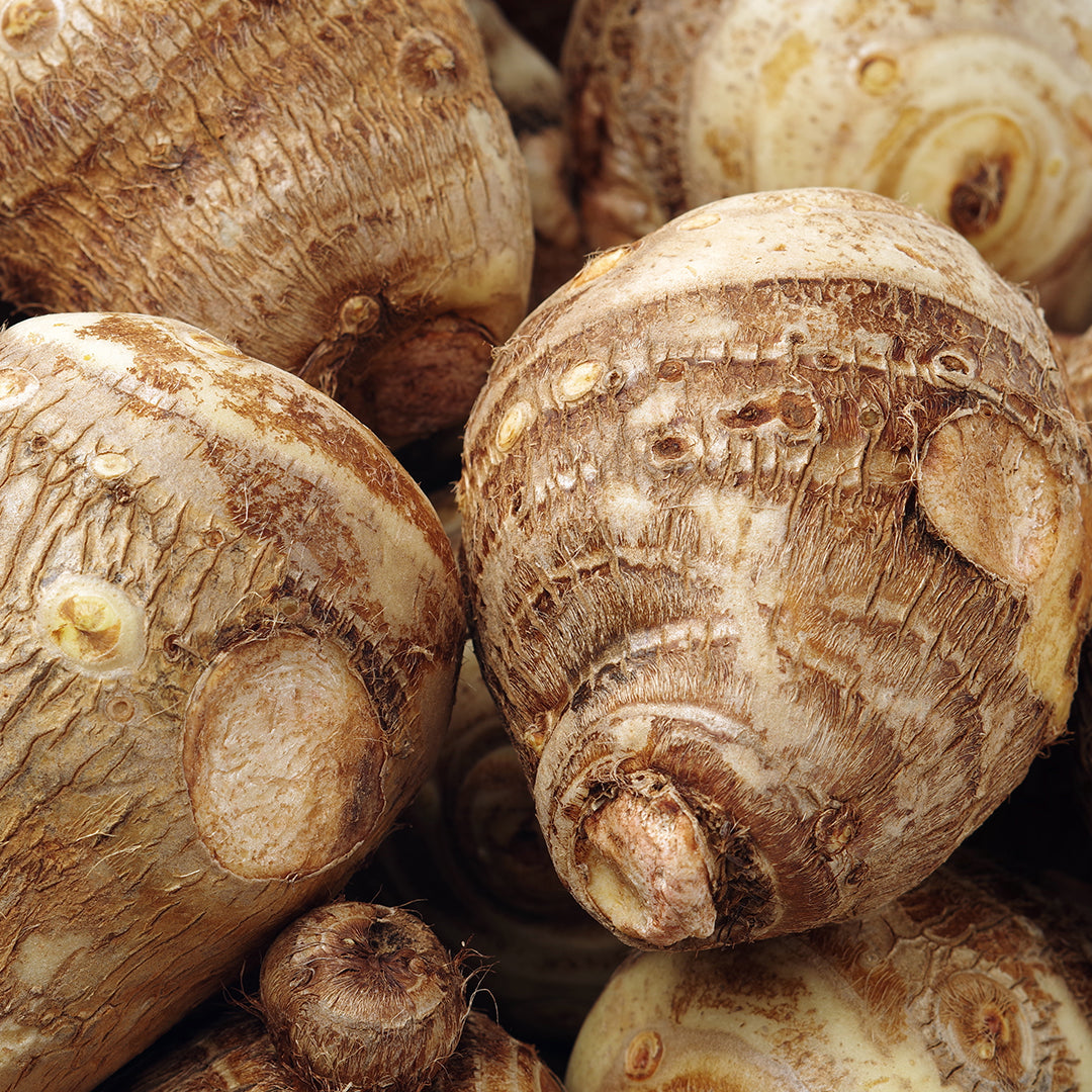 Wild Yam